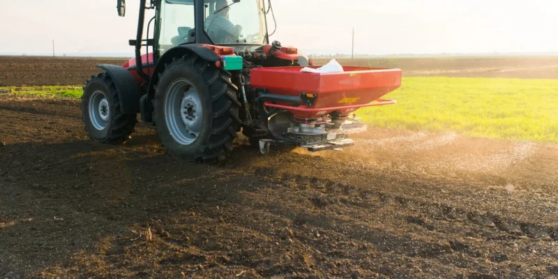 Materiał siewny – fundament wysokich plonów w nowoczesnym rolnictwie